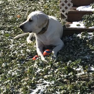 Meet your Posher, Brianna